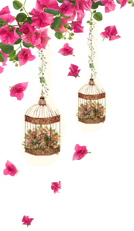 flowers left