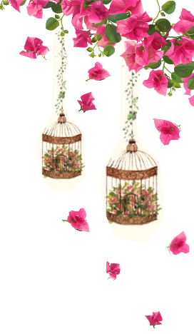 flowers right
